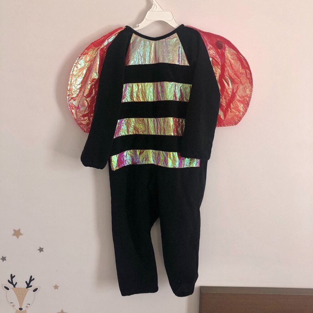 Shimmering Ladybug Costume - Iridescent Reflective Wings - Size 4T/5T